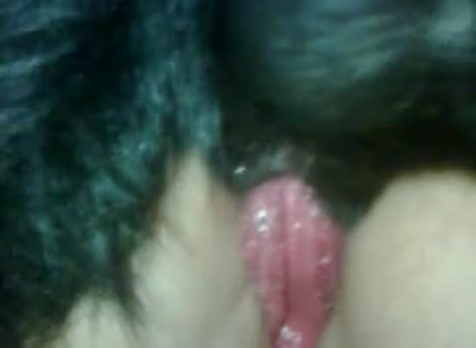 Video :Lady's pinkish pussy receives dog creampie